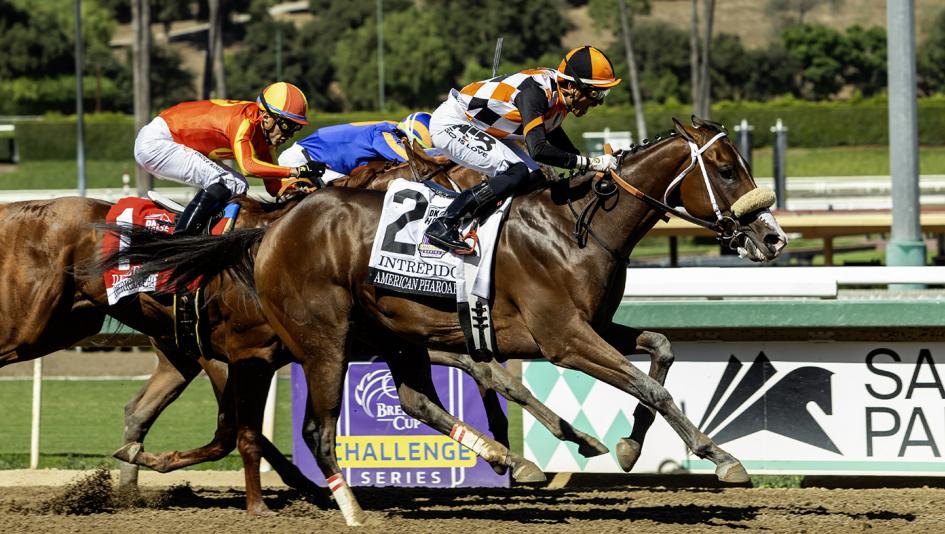 Santa Anita, 2025 American Pharoah Stakes, Intrepido, Breeders Cup Juvenile Win and Youre In